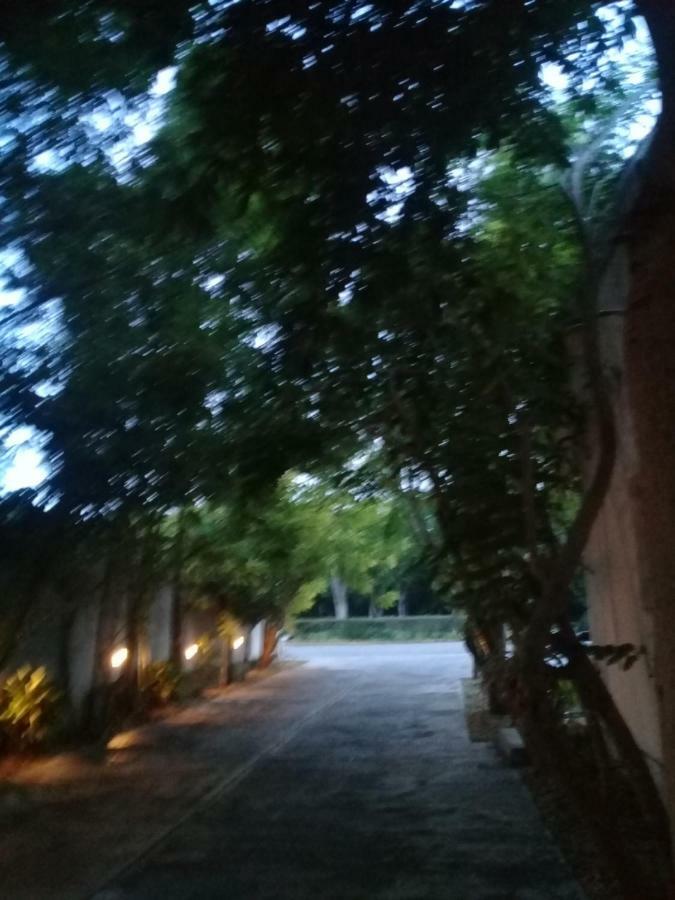 巴利亚多利德41号酒店 外观 照片